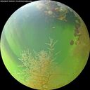 ./images/calvert/underwater/20260807/underwater20260807_183501M.jpg