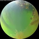 ./images/calvert/underwater/20260807/underwater20260807_184001M.jpg