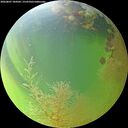 ./images/calvert/underwater/20260807/underwater20260807_184501M.jpg
