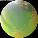 ./images/calvert/underwater/20260807/underwater20260807_191001M.jpg