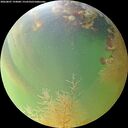 ./images/calvert/underwater/20260807/underwater20260807_194001M.jpg