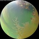 ./images/calvert/underwater/20260807/underwater20260807_194501M.jpg