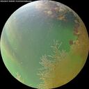 ./images/calvert/underwater/20260807/underwater20260807_200001M.jpg