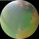 ./images/calvert/underwater/20260807/underwater20260807_200501M.jpg