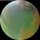 ./images/calvert/underwater/20260807/underwater20260807_203501M.jpg
