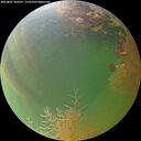 ./images/calvert/underwater/20260807/underwater20260807_204501M.jpg