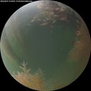 ./images/calvert/underwater/20260807/underwater20260807_212001M.jpg