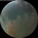 ./images/calvert/underwater/20260807/underwater20260807_213001M.jpg