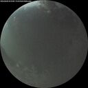 ./images/calvert/underwater/20260808/underwater20260808_053501M.jpg