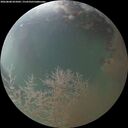 ./images/calvert/underwater/20260808/underwater20260808_055001M.jpg