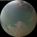 ./images/calvert/underwater/20260808/underwater20260808_055501M.jpg