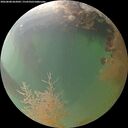./images/calvert/underwater/20260808/underwater20260808_062001M.jpg