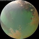 ./images/calvert/underwater/20260808/underwater20260808_062502M.jpg