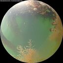 ./images/calvert/underwater/20260808/underwater20260808_063501M.jpg