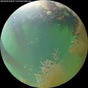 ./images/calvert/underwater/20260808/underwater20260808_064002M.jpg