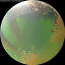 ./images/calvert/underwater/20260808/underwater20260808_065501M.jpg