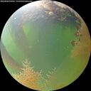 ./images/calvert/underwater/20260808/underwater20260808_070501M.jpg