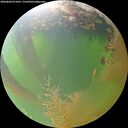 ./images/calvert/underwater/20260808/underwater20260808_071001M.jpg
