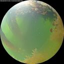 ./images/calvert/underwater/20260808/underwater20260808_071501M.jpg