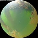 ./images/calvert/underwater/20260808/underwater20260808_072501M.jpg