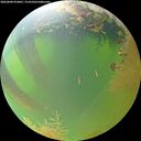 ./images/calvert/underwater/20260808/underwater20260808_074001M.jpg