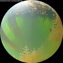 ./images/calvert/underwater/20260808/underwater20260808_074501M.jpg