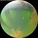 ./images/calvert/underwater/20260808/underwater20260808_075001M.jpg