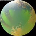./images/calvert/underwater/20260808/underwater20260808_075501M.jpg