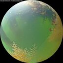 ./images/calvert/underwater/20260808/underwater20260808_080501M.jpg