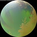 ./images/calvert/underwater/20260808/underwater20260808_082001M.jpg