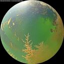 ./images/calvert/underwater/20260808/underwater20260808_083002M.jpg