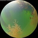 ./images/calvert/underwater/20260808/underwater20260808_083501M.jpg