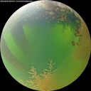 ./images/calvert/underwater/20260808/underwater20260808_084501M.jpg