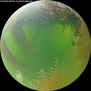 ./images/calvert/underwater/20260808/underwater20260808_085001M.jpg