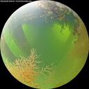 ./images/calvert/underwater/20260808/underwater20260808_090501M.jpg