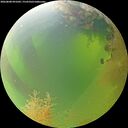 ./images/calvert/underwater/20260808/underwater20260808_091002M.jpg