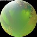 ./images/calvert/underwater/20260808/underwater20260808_091501M.jpg
