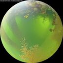 ./images/calvert/underwater/20260808/underwater20260808_094001M.jpg