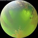 ./images/calvert/underwater/20260808/underwater20260808_094501M.jpg