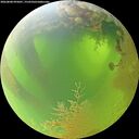 ./images/calvert/underwater/20260808/underwater20260808_095001M.jpg