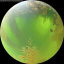 ./images/calvert/underwater/20260808/underwater20260808_095501M.jpg