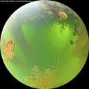 ./images/calvert/underwater/20260808/underwater20260808_100002M.jpg