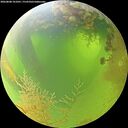 ./images/calvert/underwater/20260808/underwater20260808_101001M.jpg