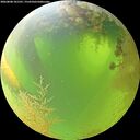 ./images/calvert/underwater/20260808/underwater20260808_101501M.jpg