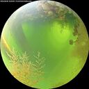 ./images/calvert/underwater/20260808/underwater20260808_102001M.jpg