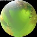 ./images/calvert/underwater/20260808/underwater20260808_103001M.jpg
