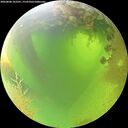 ./images/calvert/underwater/20260808/underwater20260808_103501M.jpg
