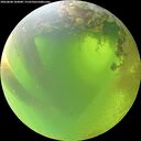 ./images/calvert/underwater/20260808/underwater20260808_104001M.jpg