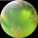 ./images/calvert/underwater/20260808/underwater20260808_104501M.jpg