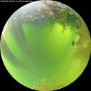 ./images/calvert/underwater/20260808/underwater20260808_105501M.jpg